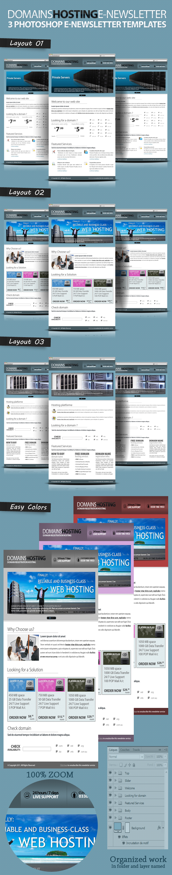 Professional Domain Hosting E-newsletters