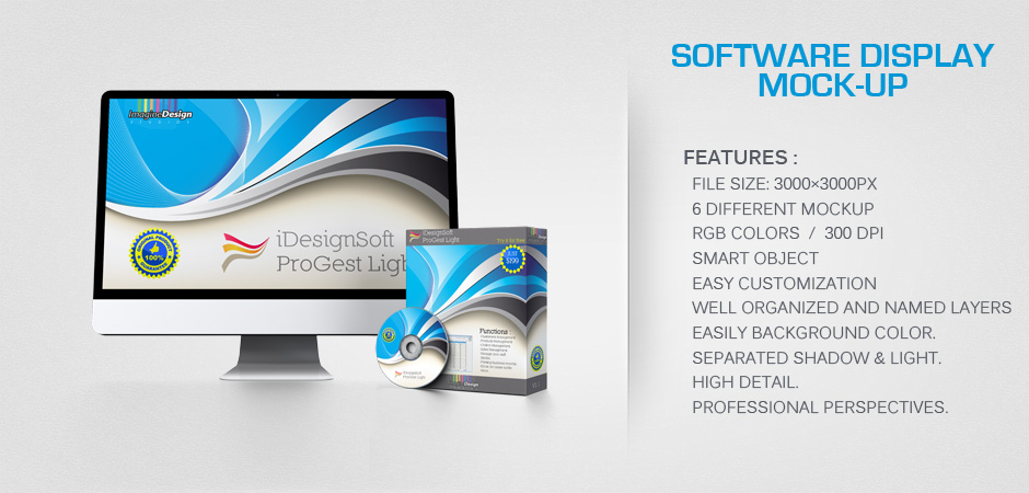 Software Display Mock-up