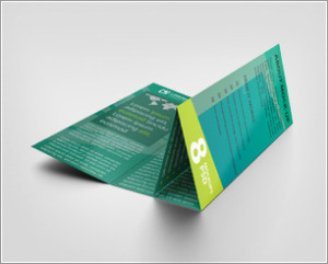 Roll Fold Brochure Mockup